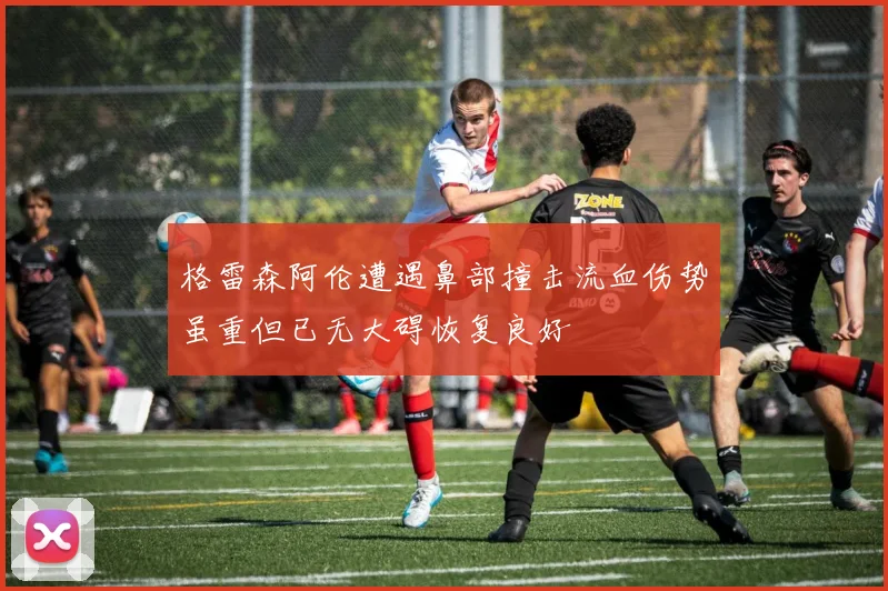 格雷森阿伦遭遇鼻部撞击流血伤势虽重但已无大碍恢复良好